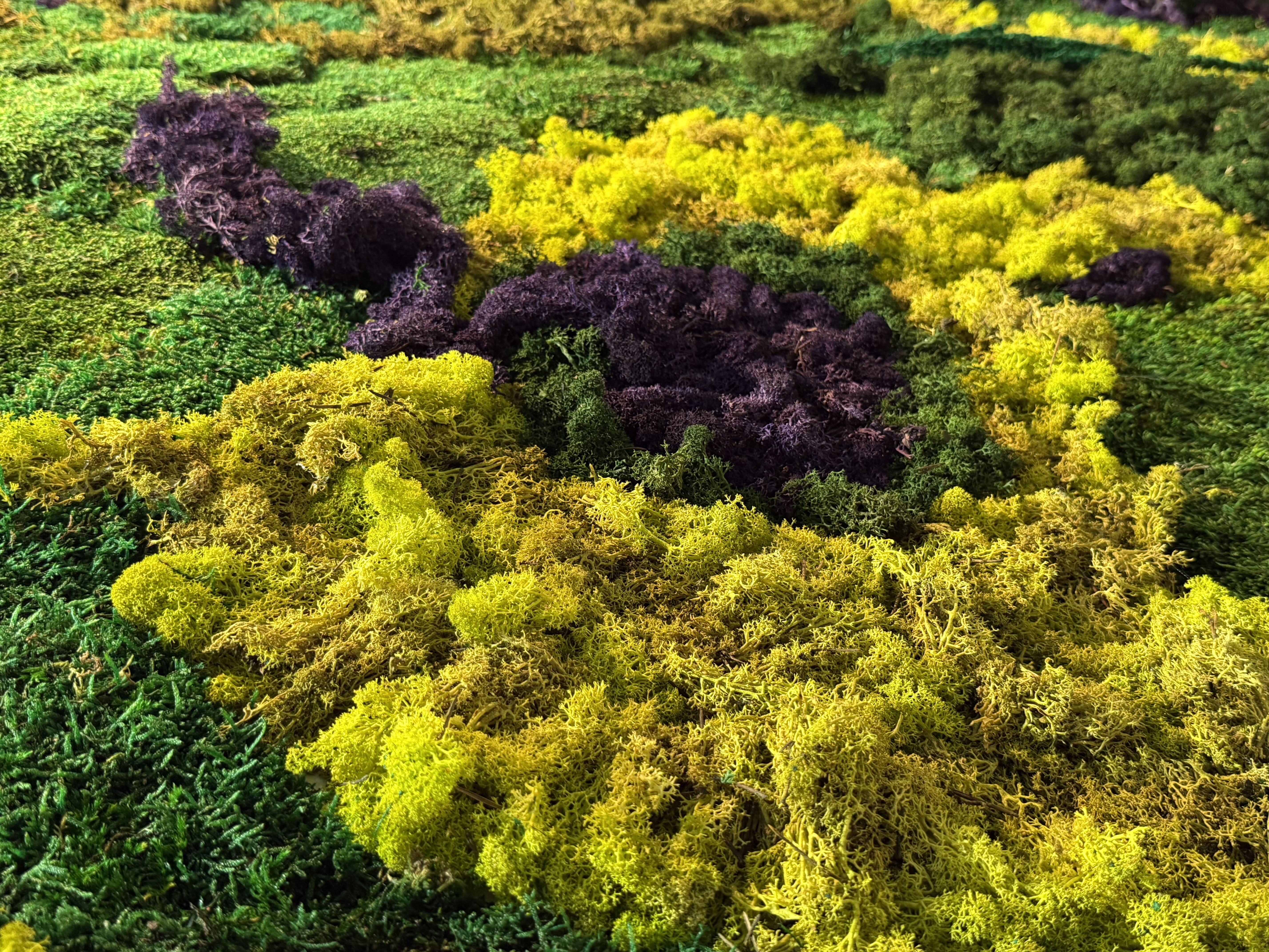 Preserved moss wall with purple and lime green reindeer moss